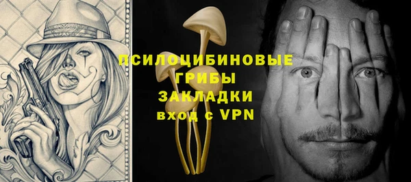 МДПВ Абдулино