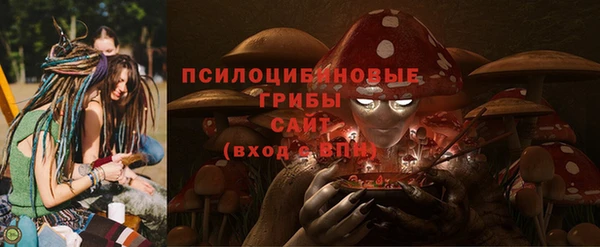МДПВ Абдулино