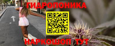 PSILOCYBIN Кумертау