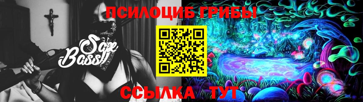 Псилоцибиновые грибы GOLDEN TEACHER  Вход с VPN  Дербент 
